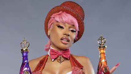 Megan Thee Stallion tequila, Megan Thee Stallion Chicas Divertidas, Chicas Divertidas tequila, Megan Thee Stallion tequila brand theGrio.com