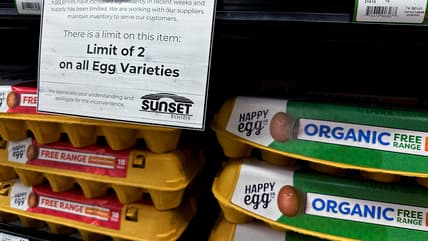 Price of eggs, US economy, bird flu, Trump Administration, inflation, theGrio.com