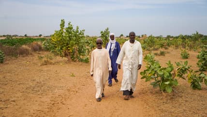 thegrio, senegal, United States company, African development