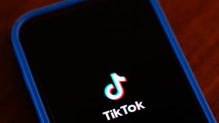 TikTok, theGrio.com