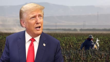 Donald Trump, Farmers, theGrio.com