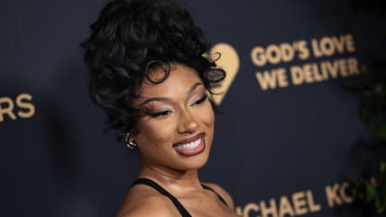megan thee stallion, megan thee stallion fanatics, megan thee stallion nonprofit, megan thee stallion holidays theGrio.com