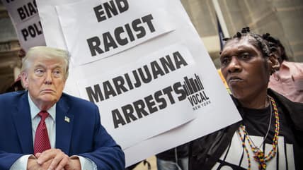 Trump, marijuana, cannabis, theGrio.com