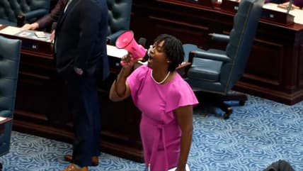 Angie Nixon Florida, Angie Nixon, Angie Nixon Florida Protest, Florida Gerrymandering, Florida Congressional Maps