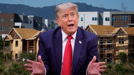 Donald Trump, housing, theGrio.com
