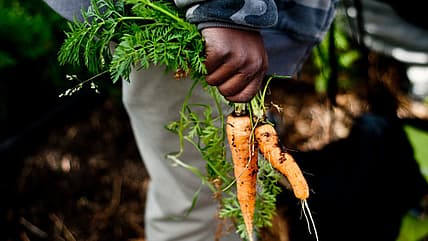 Black Farmer thegrio.com