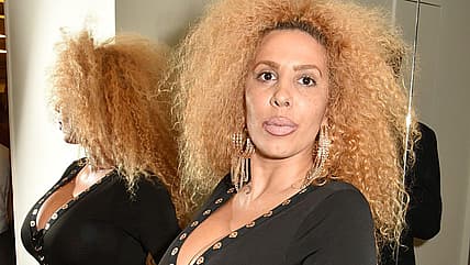 Afida Turner, Ronnie Turner, Tina Turner, IVF, theGrio.com