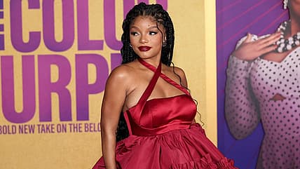 Halle Bailey pregnancy, Is Halle Bailey pregnant?, Is Hailey pregnant Little Mermaid?, Did Halle Baileuy have a baby?, Halle Bailey pregnant TikTok, Halle Bailey baby bump, Halle Bailey maternity shoot theGrio.com