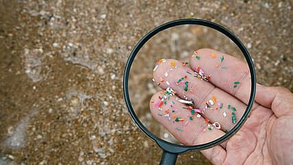 What are microplastics?