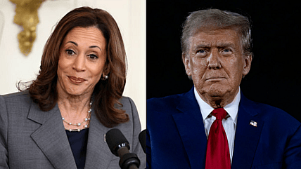 Kamala Harris, Donald Trump, theGrio.com