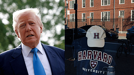 Donald Trump, Harvard, theGrio.com