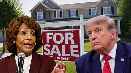 Maxine Waters, Donald Trump, theGrio.com