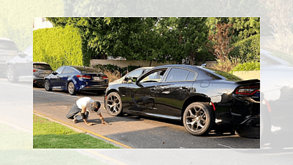 LAPD Drunk Driver www.theGrio.com