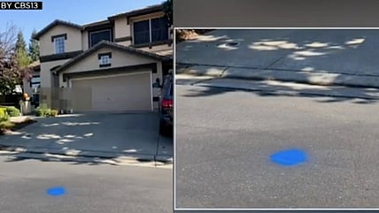 Roseville blue dots Biden Harris thegrio.com