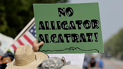 Alligator Alcatraz, Immigration, ICE, Trump Administration, theGrio.com
