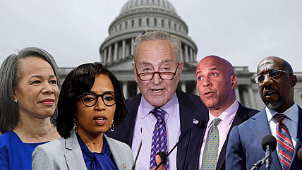 Senate Democratic Diversity Initiative Survey, theGrio.com
