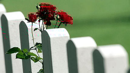 Netherlands, World War II, WW2, Black soldiers,