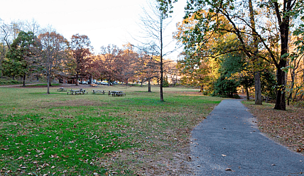 Picnic Grove 1 Melvin Hazen Park thegrio.com