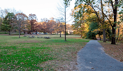 Picnic Grove 1 Melvin Hazen Park thegrio.com