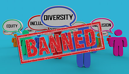 DEI, Alabama anti-DEI bill, theGrio.com