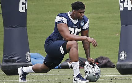 David Irving
