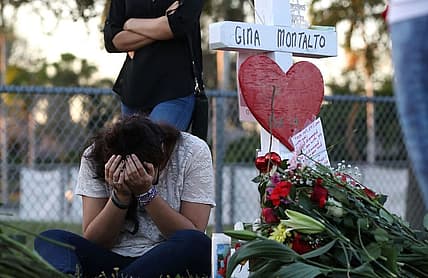 parkland shooting thegrio.com