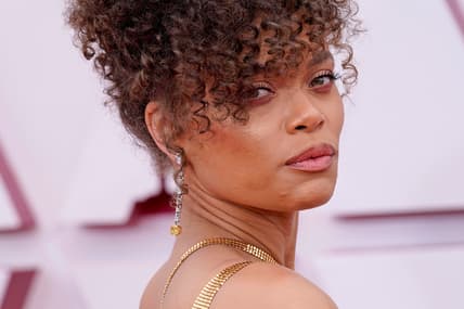 93rd Annual Academy Awards - Arrivals