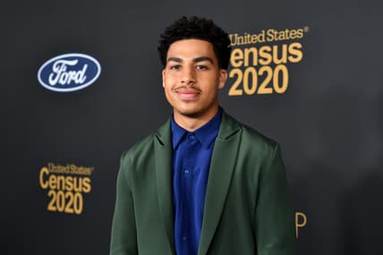 BET Presents The 51st NAACP Image Awards - Red Carpet