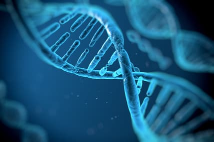 American Society of Human Genetics