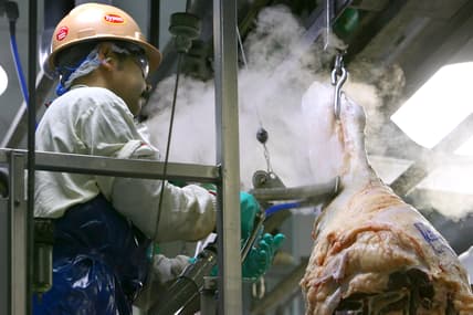 Tyson Foods, Nebraska,