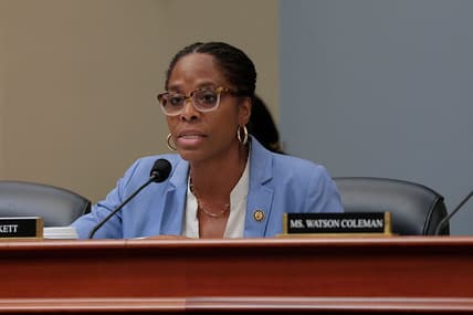 Stacey Plaskett, theGrio.com