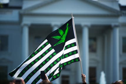 A marijuana flag