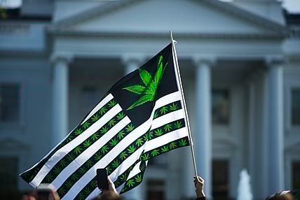 A marijuana flag