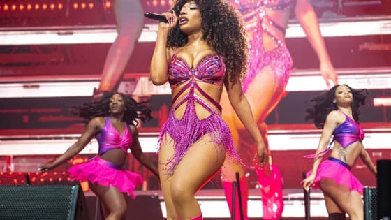 Megan Thee Stallion, theGrio.com