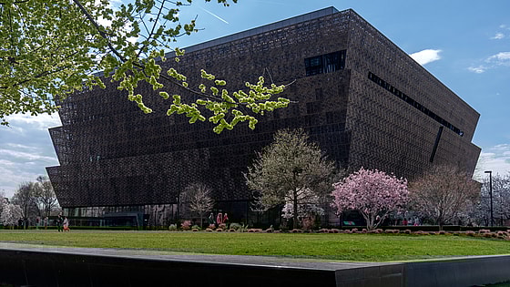 smithsonian trump, trump executive order smithsonian, Trump museums theGrio.com