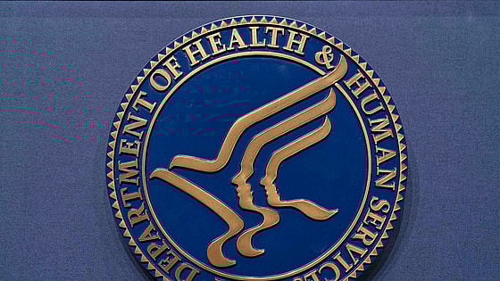 Child Care Fraud, Trump Administration,