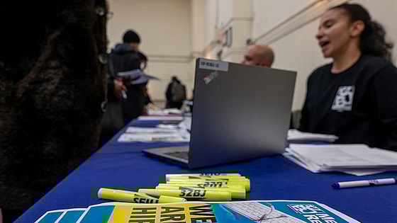 Poly-employment, Black Americans Labor Force, What Is Poly-Employment, Poly-Employment Study