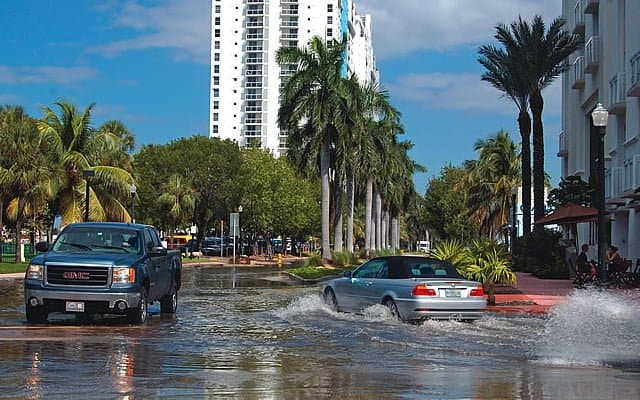 Miami flooding thegrio.com