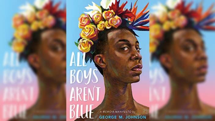 All Boys Aren't Blue Cover