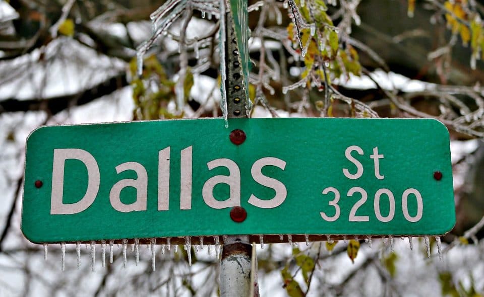 dallas thegrio.com