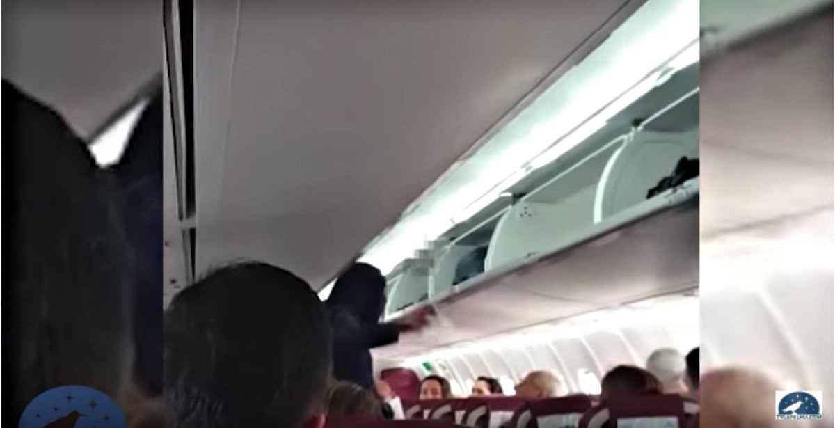 Video shows man being kicked off airplane for yelling racial slurs at ...