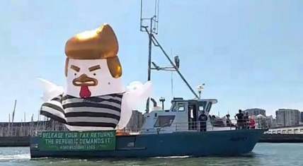 inflatable Trump chicken thegrio.com