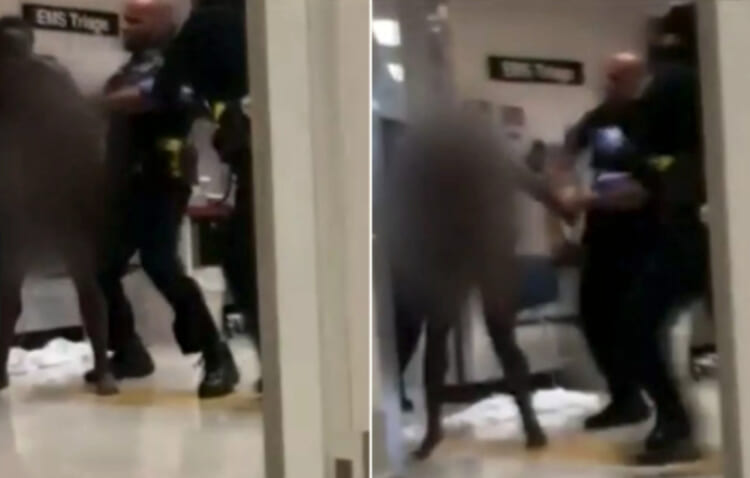 Detroit police officer caught on video repeatedly punching naked woman in hospital The lady was screaming stop hitting her