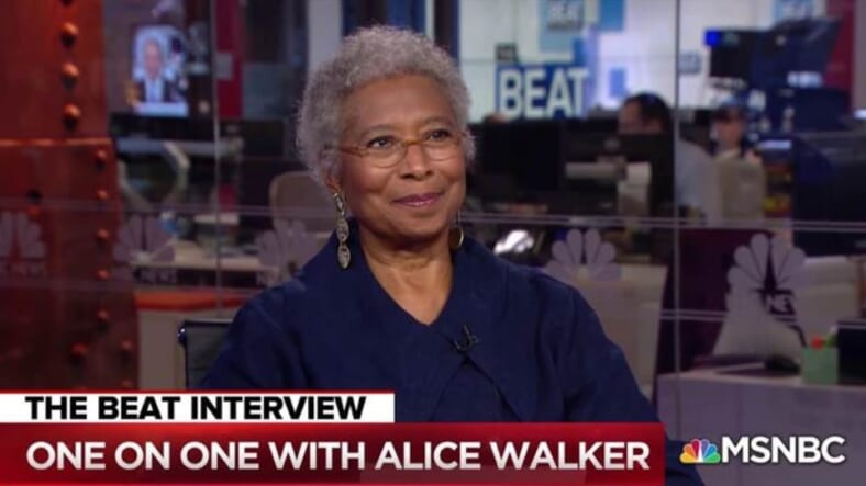 Alice Walker on MSNBC thegrio.com