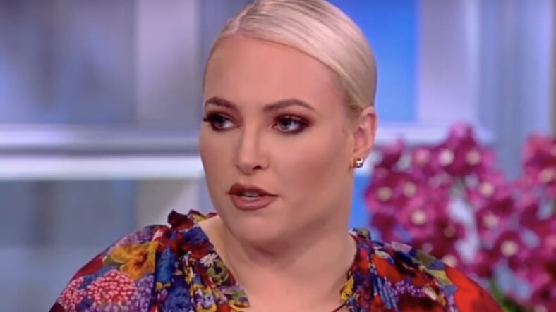 Meghan McCain gets dragged for accusing Obama of 'ushering in' Trump