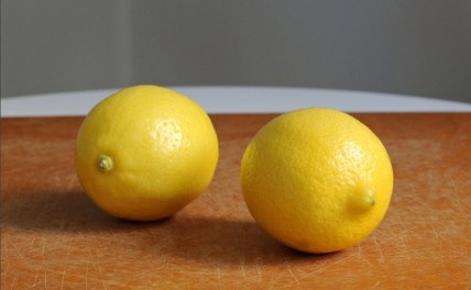 Lemons (Fototalia)