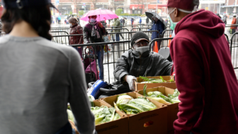 Black, Latino households suffered from food insecurity at high rates during the pandemic