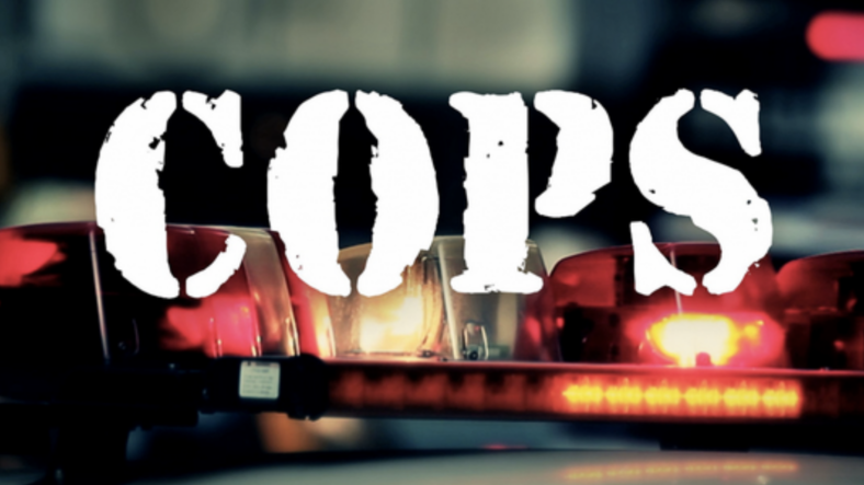 Cops theGrio.com