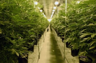 Georgia board picks 6 companies to sell medical marijuana