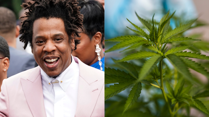 Rapper Jay-Z and a marijuana plant